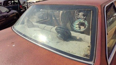 1985-1987 Pontiac Sunbird Back Glass Rear Window Oem 20480996