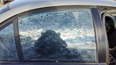 1996-2000 Saturn Sl1 Passenger Right Rear Side Window Door Glass Oem Back