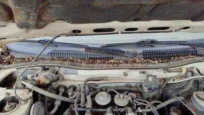 1993 Infinity G20 Windshield Wiper Cowl Vent Trim Panel Oem Cover