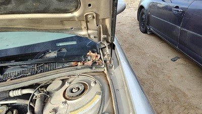 1997-1998 Buick Century Driver Left Hood Hinge Oem Silver 10265736
