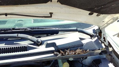 2008-2011 Dodge Grand Caravan Driver Left Windshield Wiper Arm Oem Blade Lever