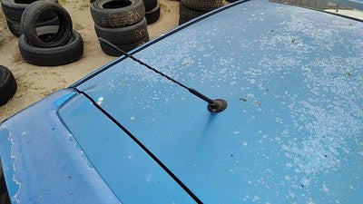 2004-2006 Mazda 3 Radio Antenna Oem Gj6a66a30a