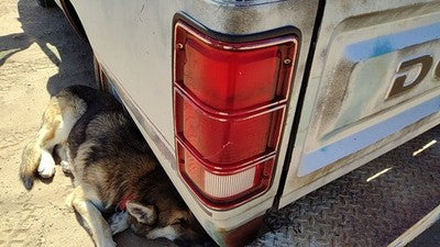 1981-1993 Dodge Ram W150 Driver Left Tail Light Brake Lamp Oem Rear 4163151