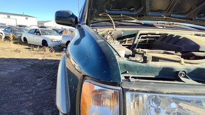 1998-2002 Honda Passport Passenger Right Front Fender Oem Hgm Huntsman Green