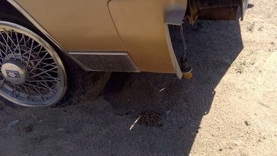 1985 Olds 88 Passenger Right Moulding From Fender Oem Trim Strip Gold