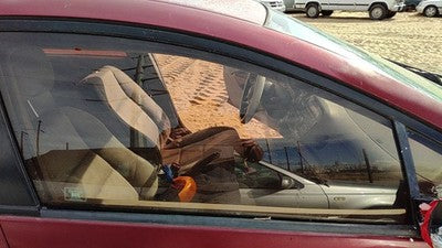 2010-2014 Honda Insight Passenger Right Front Side Window Door Glass Oem