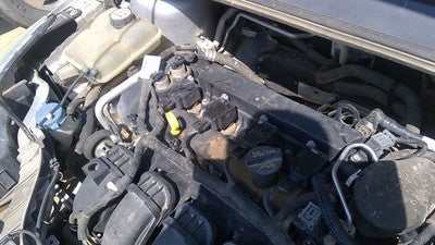 2012-2014 Ford Focus Valve Cover Oem 2.0L
