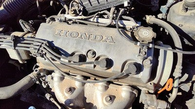 1996-2000 Honda Civic Valve Cover Oem Coupe 1.6L 12310P2a000