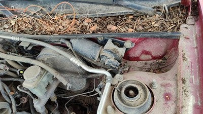 1991-2003 Ford Escort Windshield Wiper Motor Oem 6M5Z17508Aa