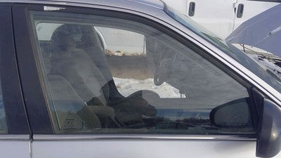 1996-2000 Honda Civic Passenger Right Front Side Window Door Glass Oem 4797411