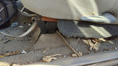 1998 Ford Ranger Driver Left Manual Seat Track Only Oem