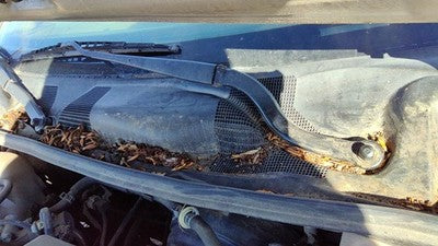1992-2002 Toyota Camry Driver Left Windshield Wiper Arm Oem Blade Lever