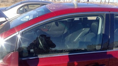 2010-2012 Lexus Hs250h Hybrid Driver Left Front Side Window Door Glass Oem