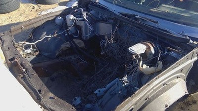 1978 Buick Regal Complete Wiring Harness Behind Dash Oem