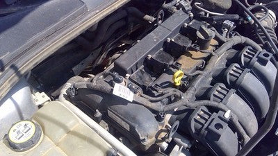 2012-2014 Ford Focus Valve Cover Oem 2.0L