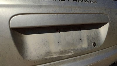 07 Caravan License Plate Trim Surround Panel Tail Trunk Finish Ps2 Bright Silver