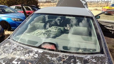 1997-2002 Bmw 540I Back Glass Rear Window Oem 51318172414