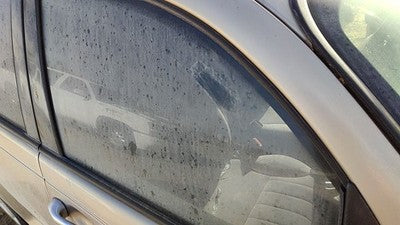 2001-2010 Chrysler Pt Cruiser Passenger Right Front Side Window Door Glass Oem