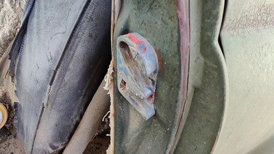 1953 Chevy Bel Air 150 Sedan Driver Left Front Door Latch Striker Oem