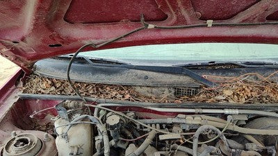 1993-2003 Ford Escort Passenger Right Windshield Wiper Arm Oem Blade Lever