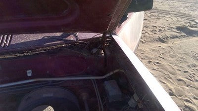 1981-1987 Isuzu Pup Pickup Driver Left Hood Hinge Assembly Oem Red 94217433