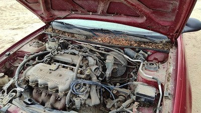 1997-1998 Ford Escort Pair Of Hood Hinges Right Left Set Assembly Oem Red