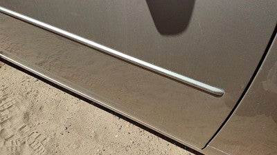 03-07 Cts Passenger Right Front Moulding From Door Oem Trim Strip Sand Storm 61U
