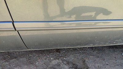 05-07 Caravan Passenger Right Front Moulding From Door Trim Strip Magnesium Ppk