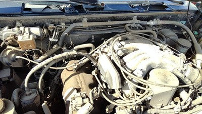 1994-1995 Nissan Pathfinder Cruise Control Servo Assembly Module With Cable Oem
