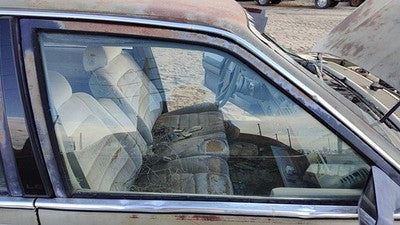 1982-1989 Pontiac 6000 Passenger Right Front Side Window Door Glass Oem 20243886