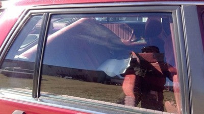 1987-1991 Pontiac Bonneville Passenger Right Rear Side Window Door Glass Back