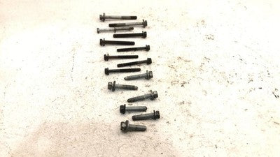 2005-2007 Town & Country Set Of Bolts For Timing Cover Oem Hardware 3.8L Factory