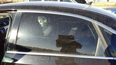 2012-2022 Vw Passat Driver Left Rear Side Window Door Glass Oem Back 561845025A