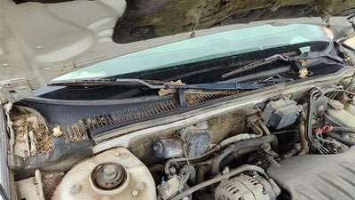 2000 Buick Park Ave Windshield Wiper Cowl Vent Trim Panel Oem Cover