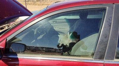 2002-2006 Toyota Camry Driver Left Front Side Window Door Glass Oem 68102Aa030