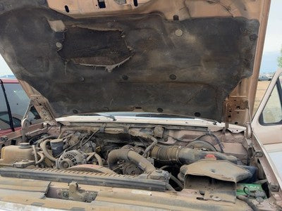 1980-1997 Ford F250 Pair Of Hood Hinges Right Left Set Assembly Oem Tan White Dy