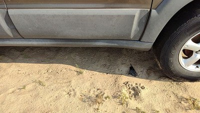 2005-2006 Mazda Tribute Passenger Right Lower Rocker Panel Moulding Side Skirt