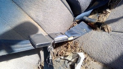 1991 Chevy Caprice Passenger Right Front Seat Belt Buckle Receiver Oem Blue