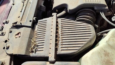96-99 Lesabre Complete Air Intake Cleaner Filter Box Housing With Tube 3.8L