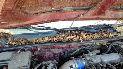 1994-1997 Honda Accord Passenger Right Windshield Wiper Arm Oem Blade Lever