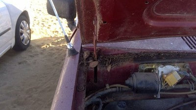 1981-1987 Isuzu Pup Pickup Passenger Right Hood Hinge Assembly Oem Red 94217433