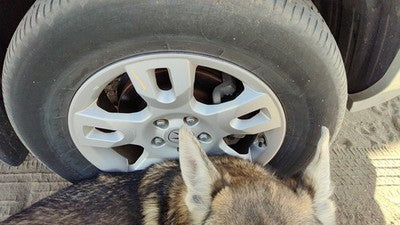 2004-2006 Acura Mdx 17' Aluminum Wheel Oem Factory 10 Spoke Rim #1 42700s3va60