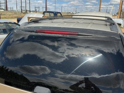 2004 Buick Rainier Rear Spoiler Back Wing Oem