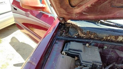 1994-1998 Honda Accord Passenger Right Hood Hinge Assembly Oem Red 3946852