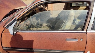 1985-1989 Pontiac Sunbird Driver Left Side Window Door Glass Oem 20157332
