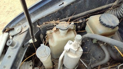 1998-2003 Toyota Sienna Coolant Reservoir Radiator Overflow Tank Bottle Oem