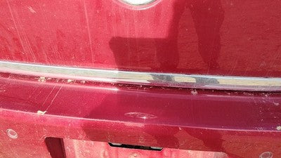 2007 Buick Lucerne License Plate Trim Surround Panel Oem Tail Trunk Finish