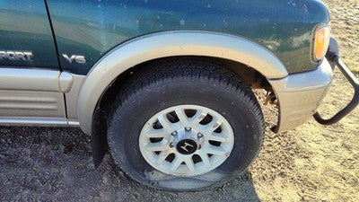 2000-2002 Honda Passport Passenger Right Front Wheel Flare Moulding Oem Fender
