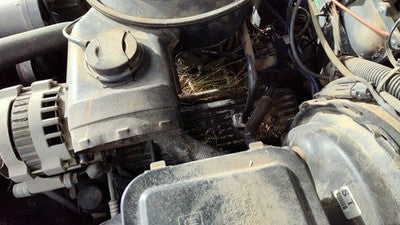 1989 Chevy S10 Pickup Driver Left Valve Cover Oem 4.3L