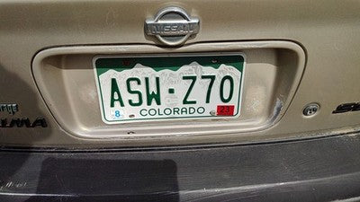 2001 Nissan Maxima License Plate Trim Surround Panel Oem Tail Trunk Finish Gold
